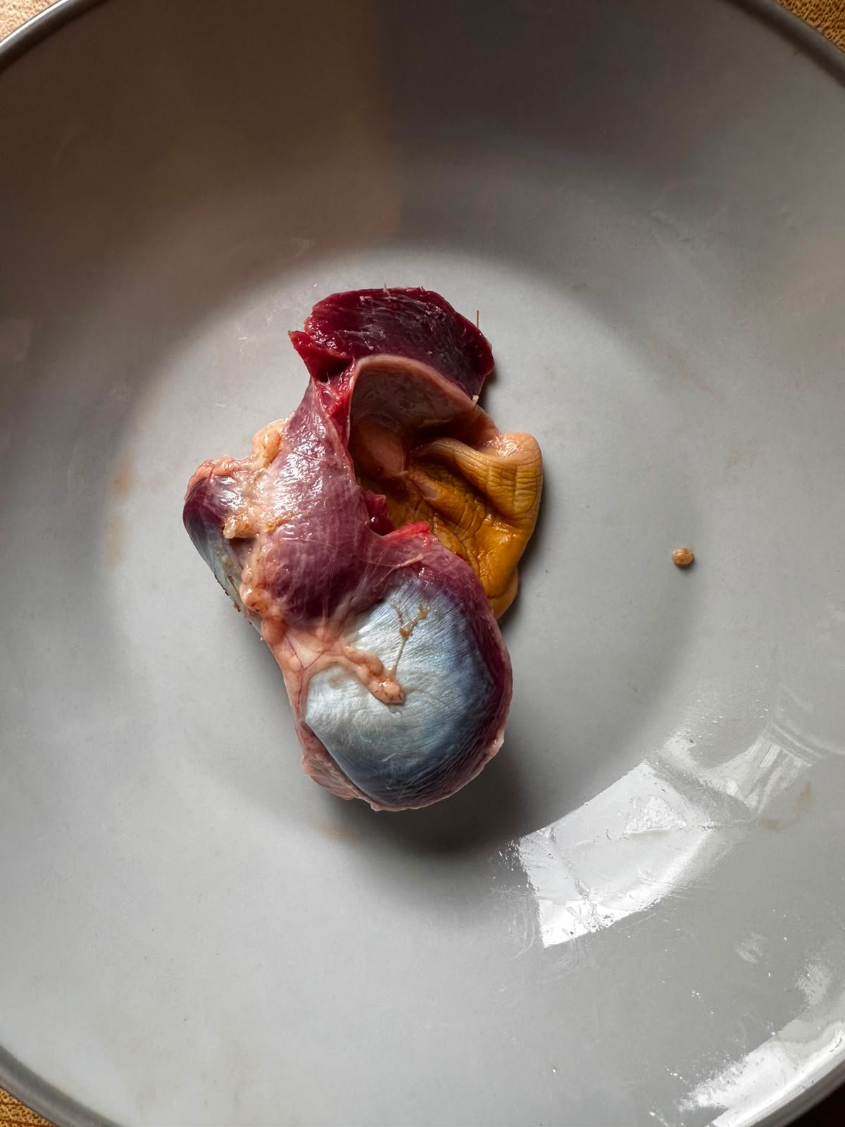 DUCK GIZZARDS