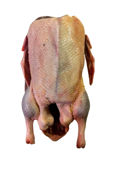 Whole Duck
